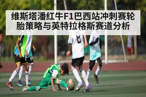 维斯塔潘红牛F1巴西站冲刺赛轮胎策略与英特拉格斯赛道分析