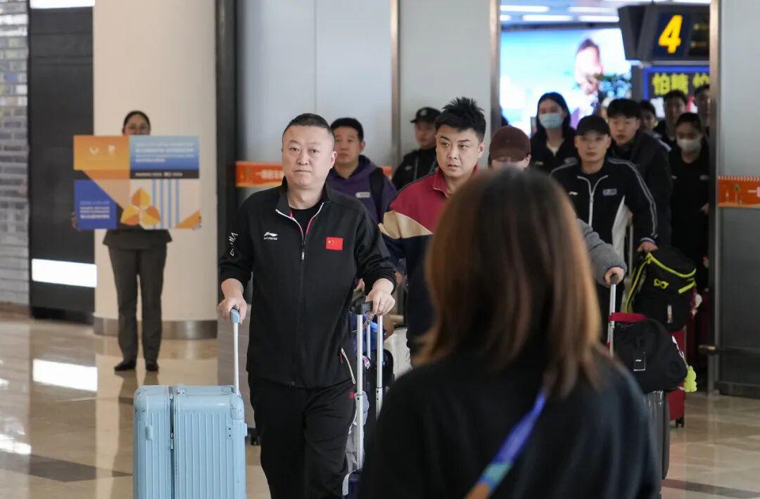 王楚钦、孙颖莎即将复出！